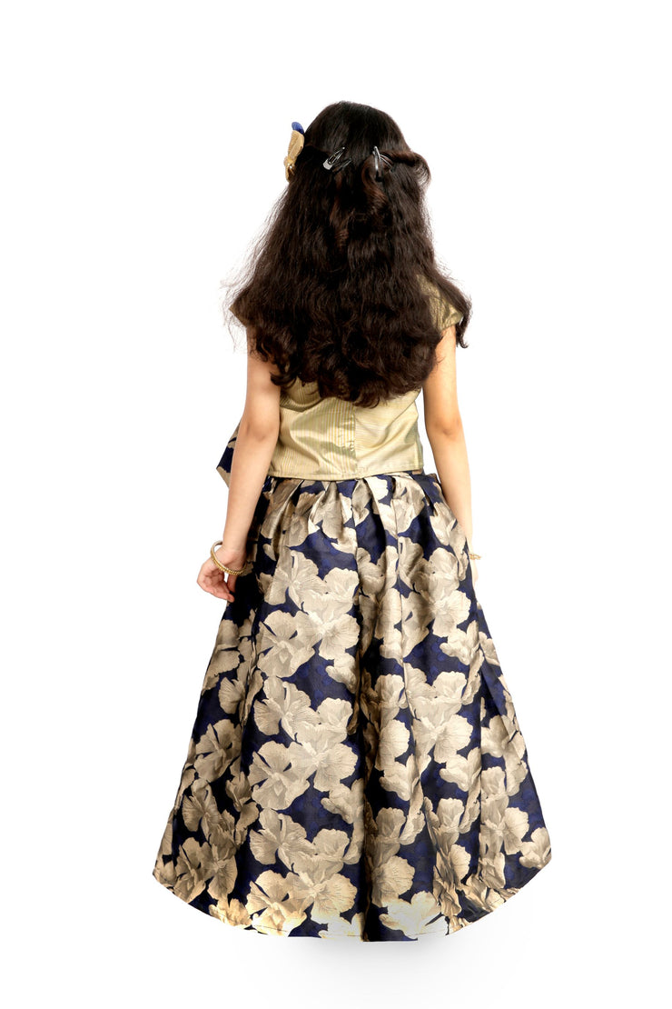 Blue & Beige Indo-Western Top & Skirt with Peacock Motif